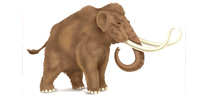 Cloning: Return of the Woolly Mammoth