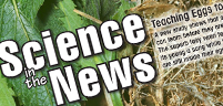 Teaching Eggs to Sing, Rogue Planet, Magnets and Cancer, Pee Power